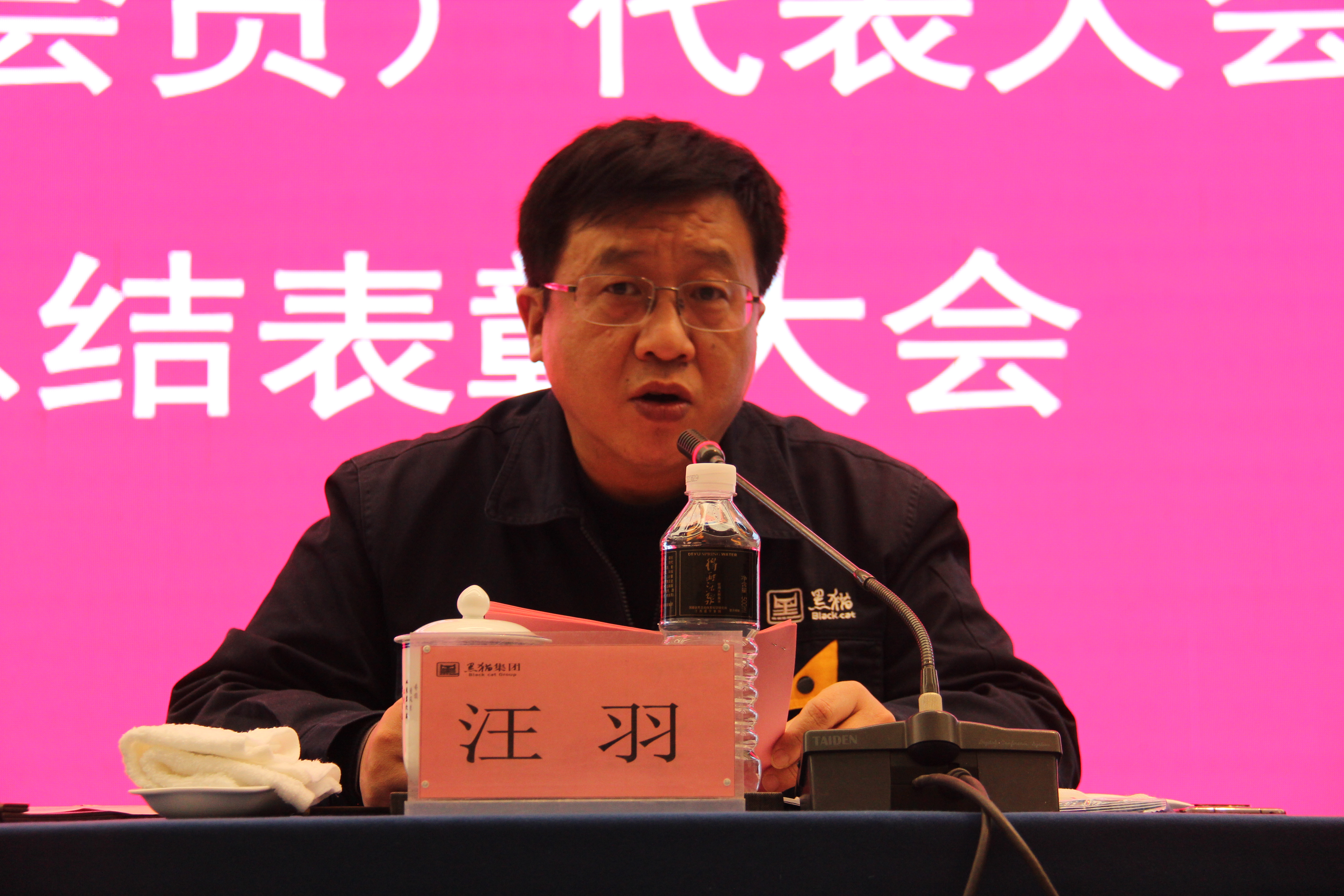黑貓集團(tuán)黨委副書記、總經(jīng)理汪羽發(fā)言 (2).JPG