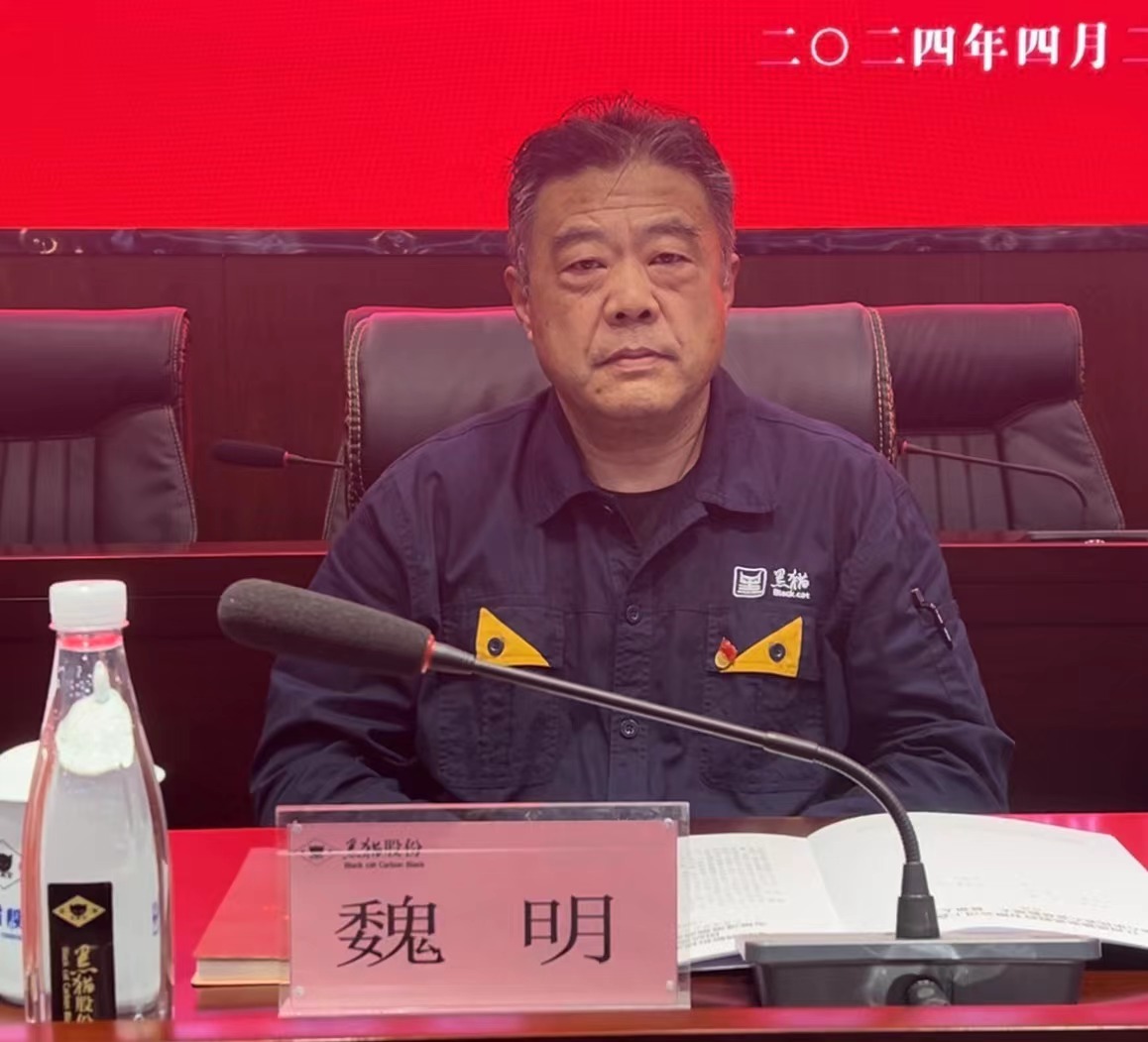 4 黑貓股份黨委副書記、董事長魏明出席會議.jpg